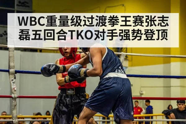WBC重量级过渡拳王赛张志磊五回合TKO对手强势登顶