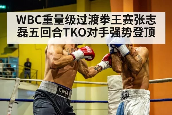 heavyweight boxer knockout