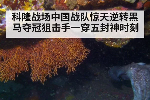 科隆战场中国战队惊天逆转黑马夺冠狙击手一穿五封神时刻